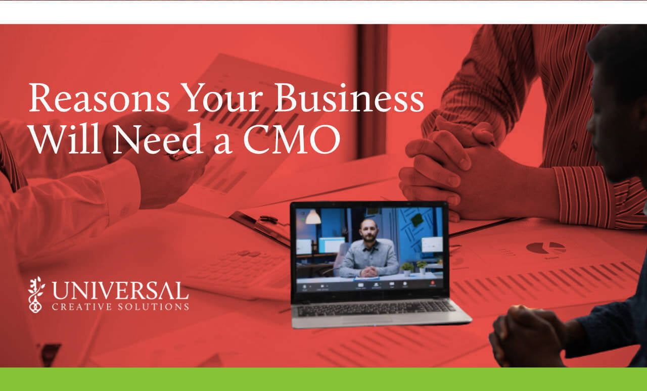 Reasons Your Business Will Need a CMO